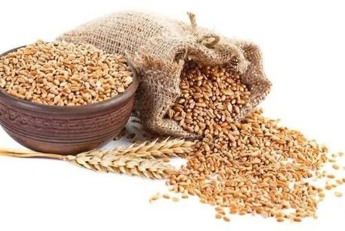Whole Wheat Grain
