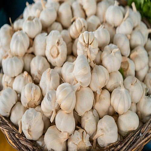 A Grade Fresh Garlic