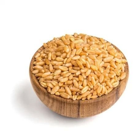 Wheat Grain & Flour
