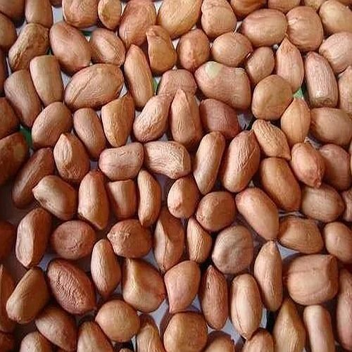 Raw Groundnut Seeds