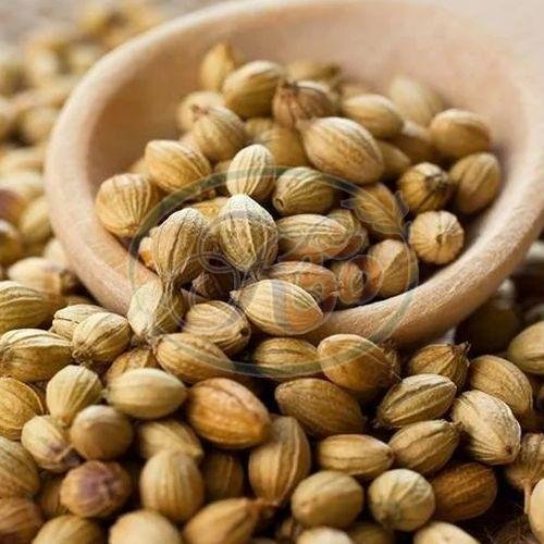 Coriander Seeds