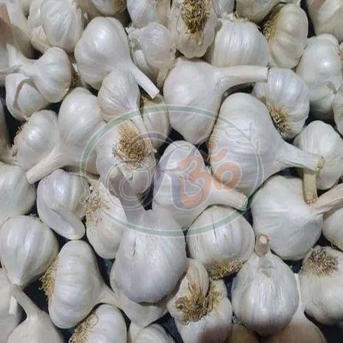 Fresh Garlic