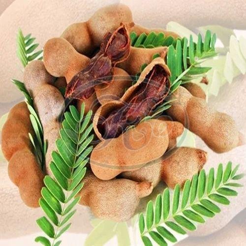 Fresh Tamarind