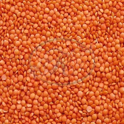 Red Masoor Dal