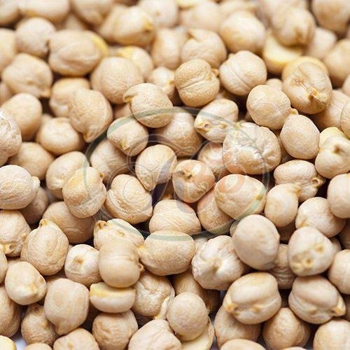 White Chickpeas