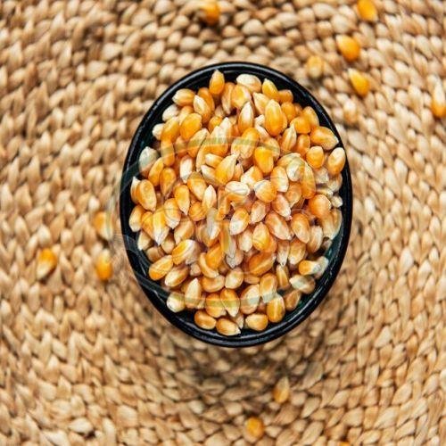 Whole Corn Seeds