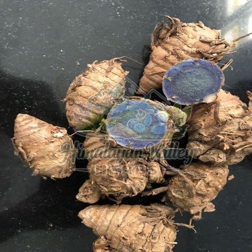 Fresh Black Turmeric