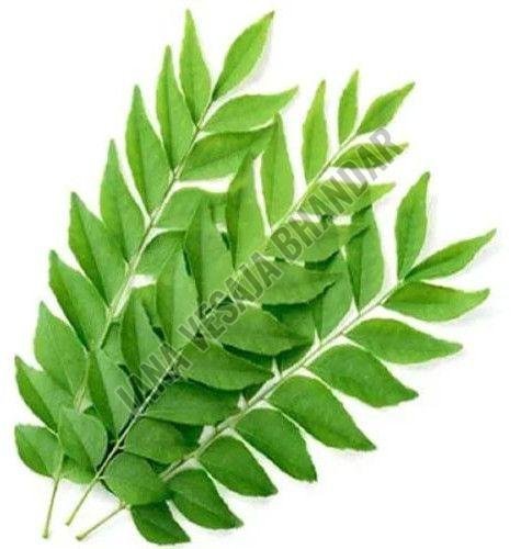 Fresh Curry Leaves Fresh Curry Leaves
