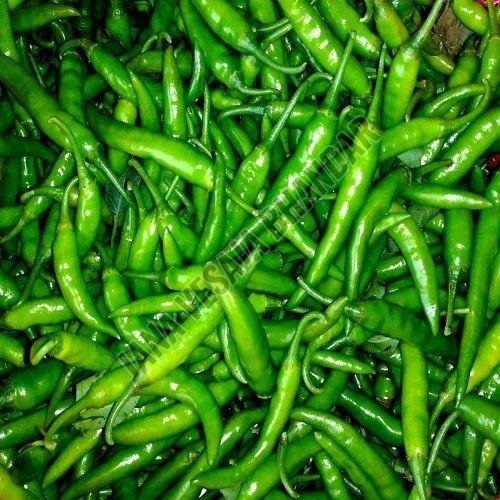 Fresh Green Chilli Fresh Green Chilli