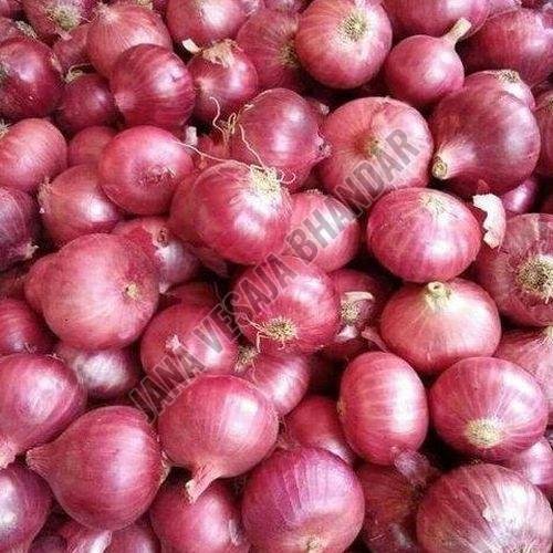 Fresh Red Onion Fresh Red Onion