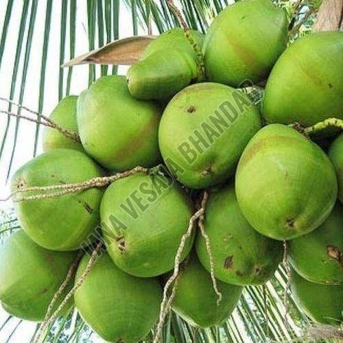 Tender Coconut