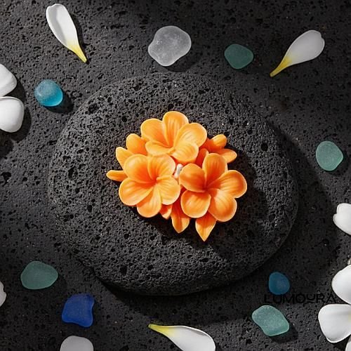 Plumeria Flower Candle
