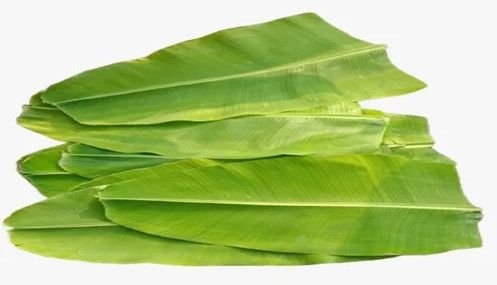Fresh Banana Leaves