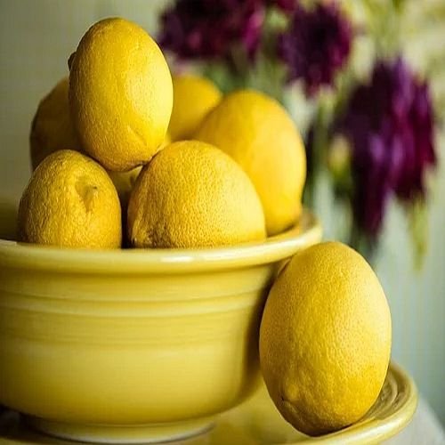 Fresh Yellow Lemon
