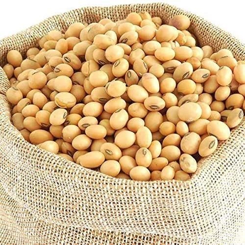 Natural Soybean Seed