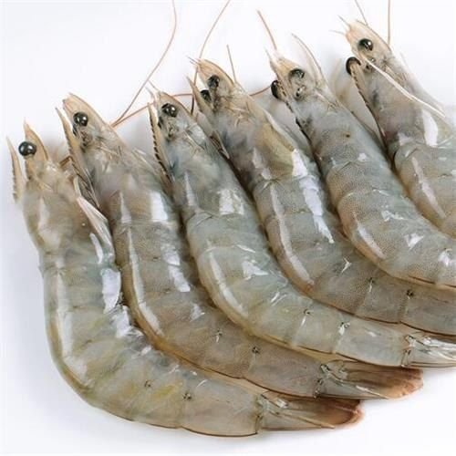 Frozen Vannamei Prawns