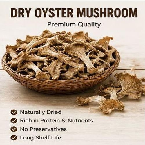 Dry Oyster Mushroom