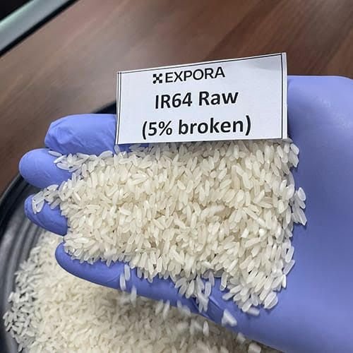 5% Broken IR 64 Raw Rice