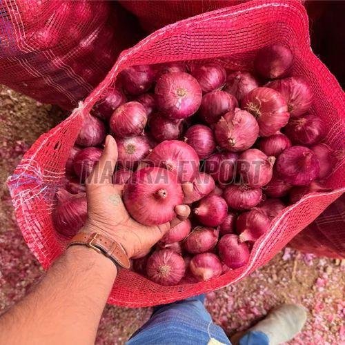 Fresh Nashik Onion