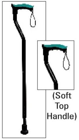 Black Walking Stick