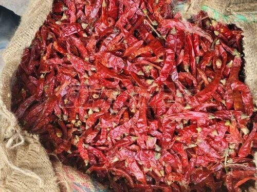 Stemless Armour Dry Red Chilli
