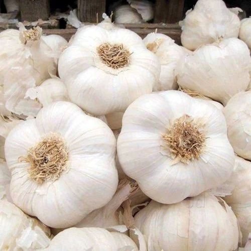 Fresh A Grade Garlic