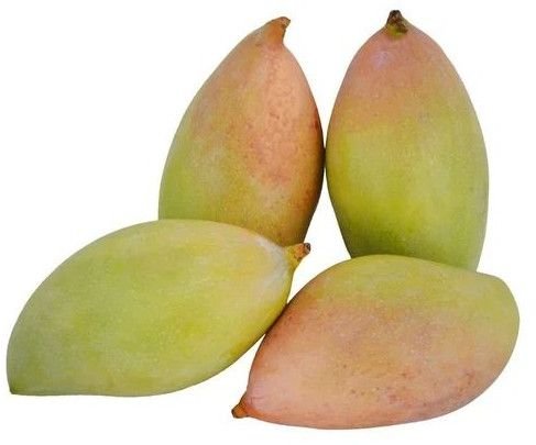 Fresh Totapuri Mango