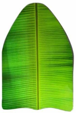 Banana Leaf Sheet