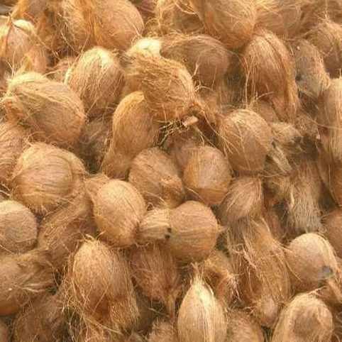 Fully Husked Coconut