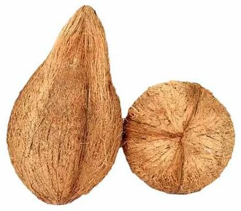 Semi Husked Coconut Shell