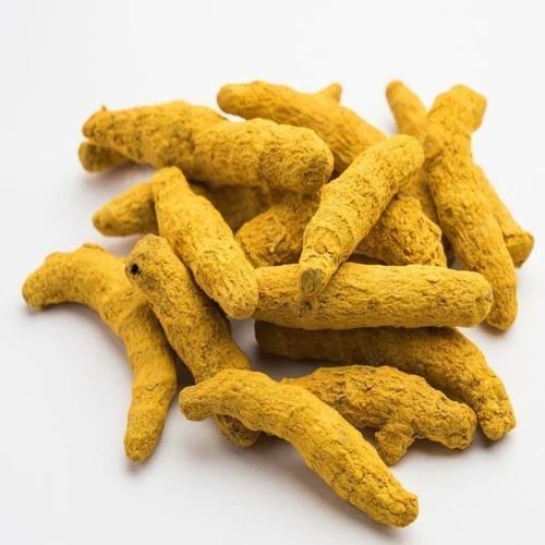 Polished Dry Turmeric Finger