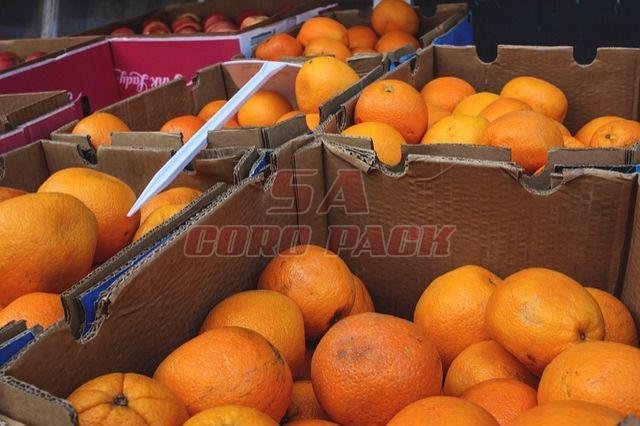 Corrugated Fruit Packing Box