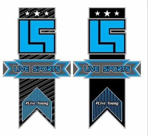 Personalized Cricket Bat Sticker