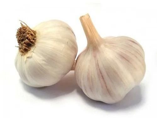Fresh A Grade Garlic