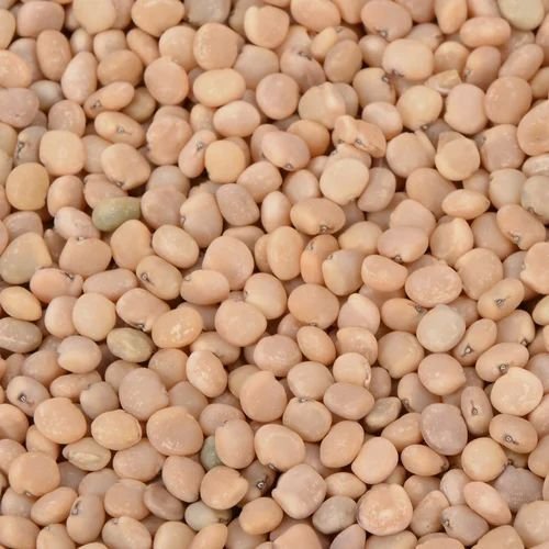 Guar Gum Seeds