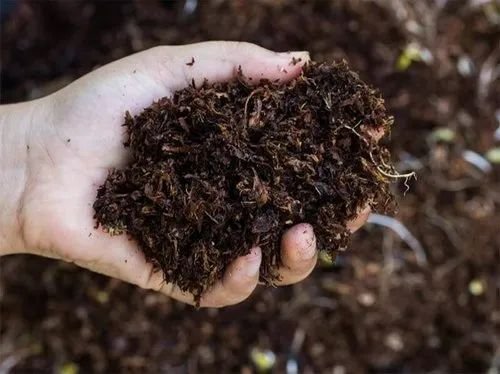 Bio Fertilizer