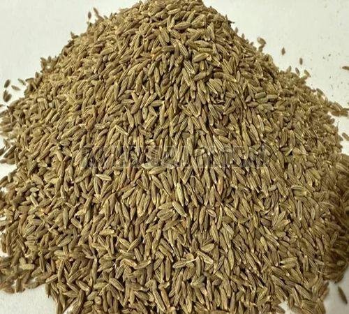 Europe Quality Cumin Seed