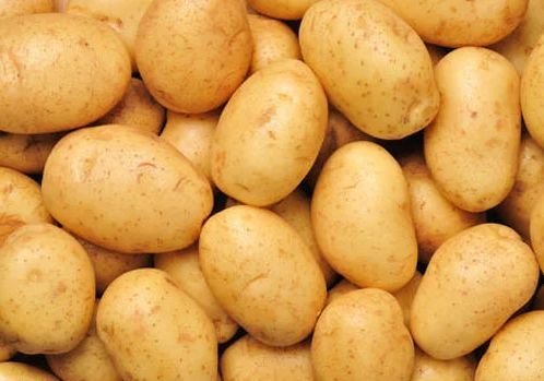 Fresh Potato