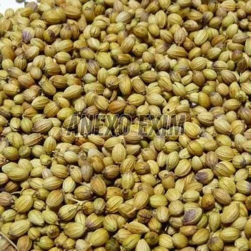Coriander Seeds