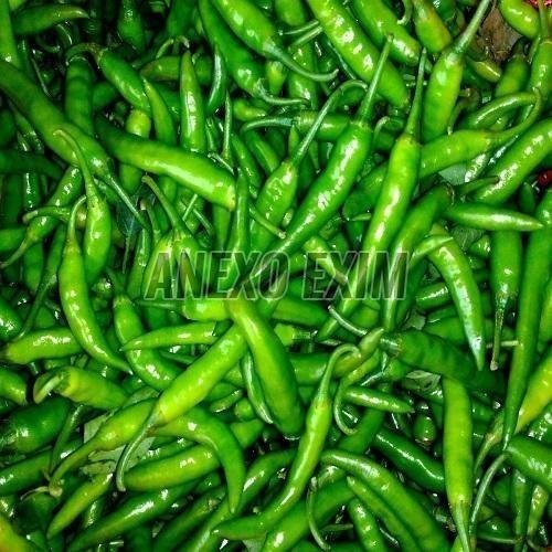Fresh G4 Green Chilli