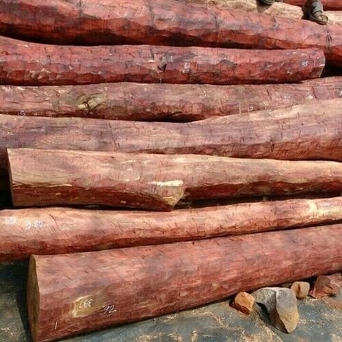 Red Sandalwood Logs