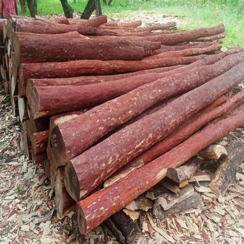Round Red Sandal Wood