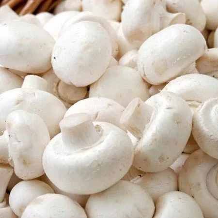 Fresh White Mushroom
