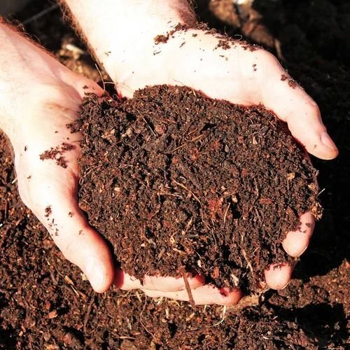 Cow Dung Fertilizer