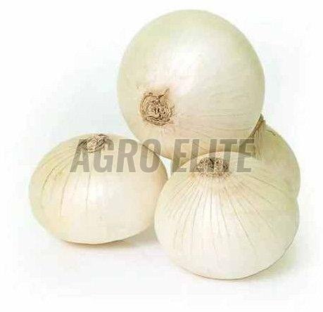A Grade Fresh White Onion