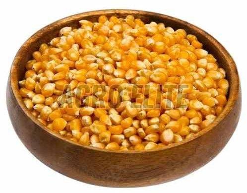 Maize Products