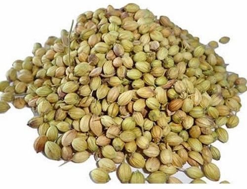 Whole Coriander Seeds