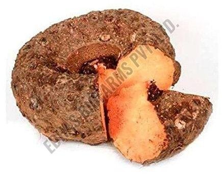 Elephant Foot Yam