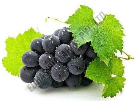 Fresh Black Grapes