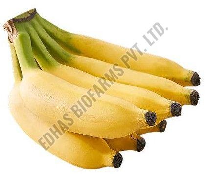 Fresh Yellow Banana